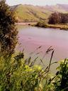 Russian River.